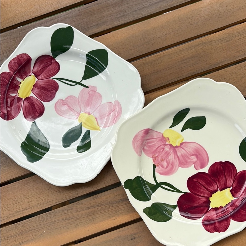 Blue Ridge Hand Painted Southern Potteries Square Plates